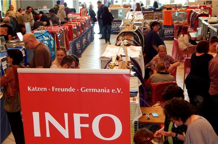 Die Katzen-Freunde-Germania boten hervorragende Bedingungen.