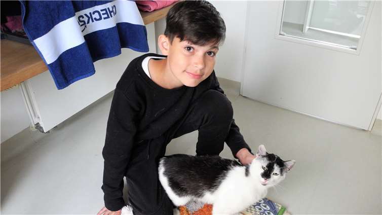 Die Katzen forderten natürlich auch Streicheleinheiten von den Kindern.