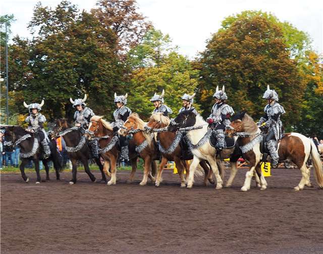 „Die Kehriger Ochsen kommen“, so lautet das Motto des Auftritts der Showgruppe Bonsaihof auf dem Pferdemarkt am 17 Oktober.  Fotos: privat