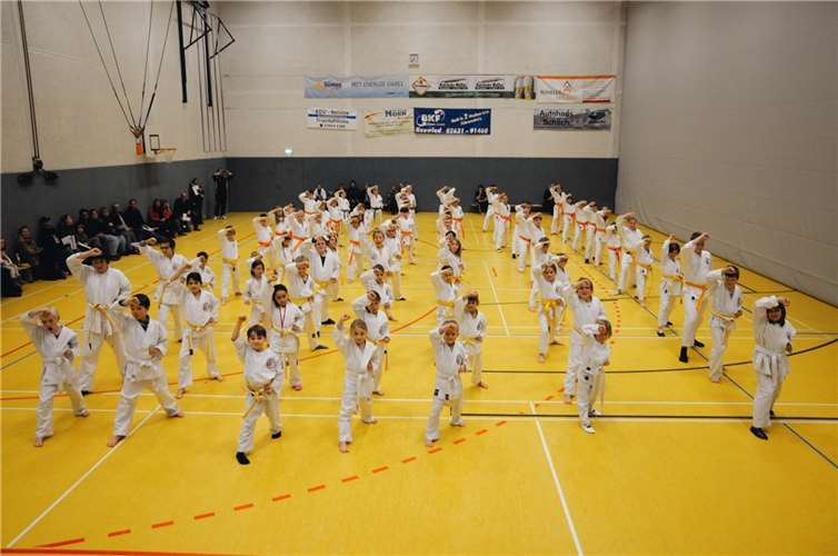 Die Kids des Karate-Club Puderbach beim Jahresabschluss-Training.privat