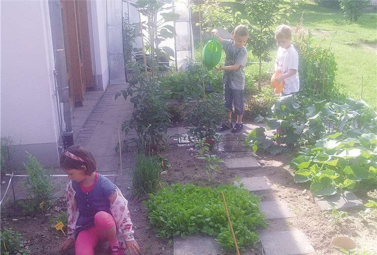 Die Kinder arbeiteten fleißig am neuen Gemüsebeet mit.privat