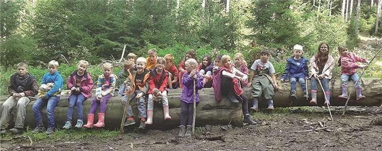 Die Kinder bei der Walderkundung. privat
