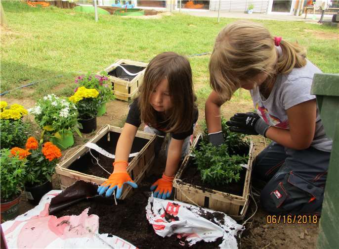 Die Kinder bepflanzten Körbe zur Dekoration.