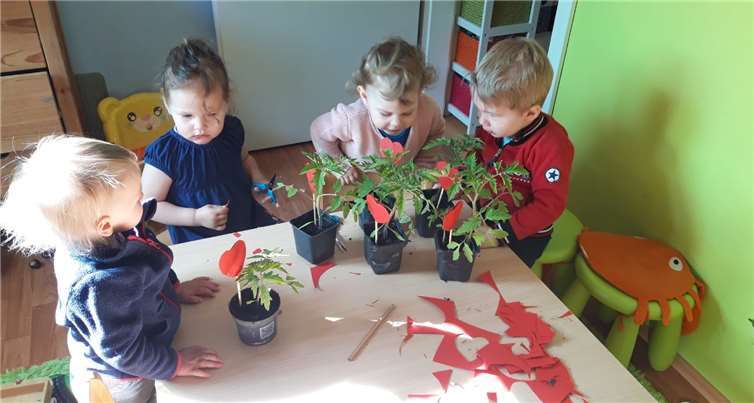 Die Kinder betreuten die Pflanzen.Foto: Privat