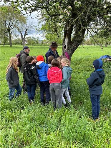 Die Kinder der AG-Streuobstwiese machten eine tolle Entdeckung.  Fotos: privat