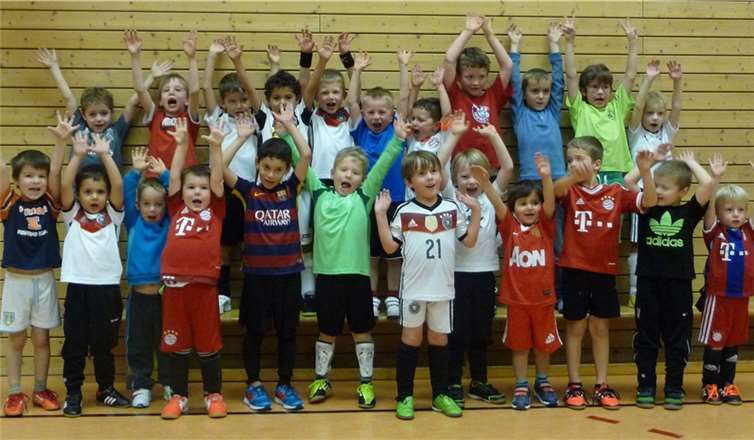 Die Kinder der Bambinigruppen der Jahrgänge 2009, 2010 und 2011 des FC Alemannia Plaidt. privat