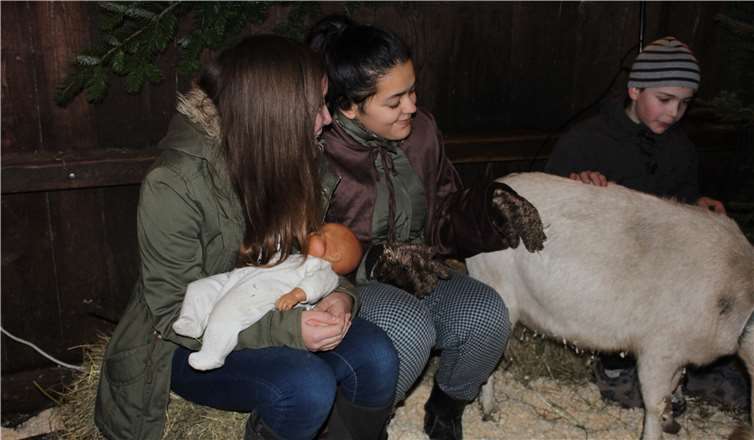 Die Kinder der Jugendgruppe präsentierten mit einer Auswahl ihrer Tiere ein Krippenbild der anderen Art.privat