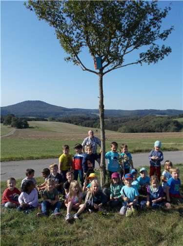 Die Kinder der Katholischen Kita in Wershofen haben während einer Wanderung ihre selbstbemalten Vogelhäuschen aufgehangen. Foto: privat