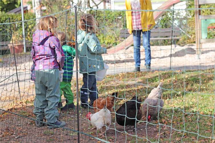Die Kinder der Kita Löwenzahn kümmern sich fürsorglich um den tierischen Besuch. Foto: Stadt Meckenheim