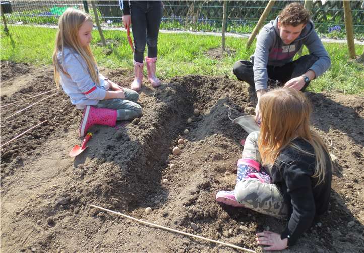 Die Kinder der zweiten und dritten Klasse bauen nun ihr eigenes Gemüse auf dem Schulacker an.