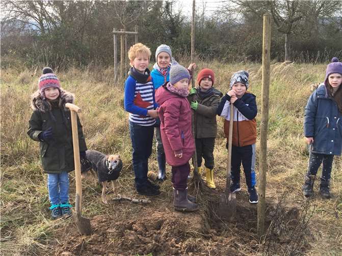 Die Kinder des Einschulungsjahrgangs pflanzten die Süßkirsche Kordia. Foto: privat