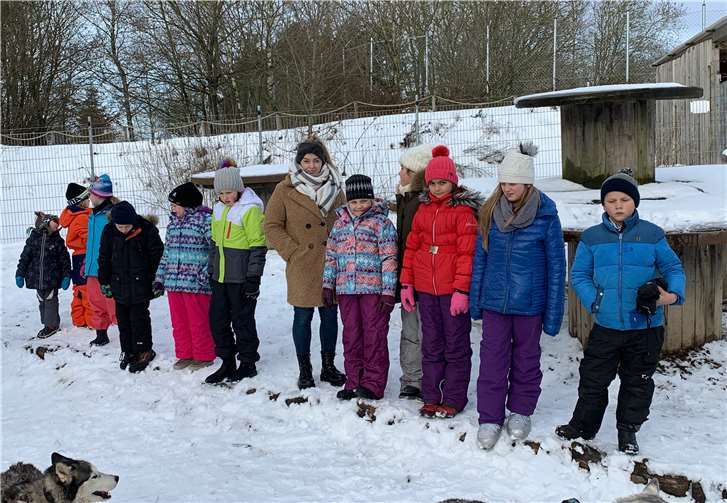 Die Kinder des Hortes „Kaul-Quappen“ machten einenunvergesslichen Ausflug und wurden von 30 Siberian Huskys empfangen. Fotos: privat