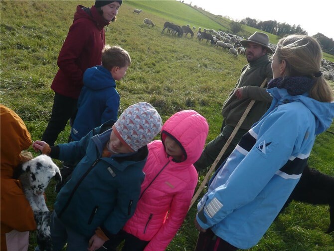 Die Kinder durften Tiere streicheln und ihre Wolle fühlen.  Foto: privat