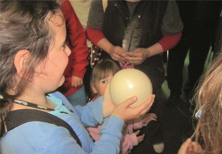 Die Kinder durften ein Straußenei aus dem Brutschrank nehmen.