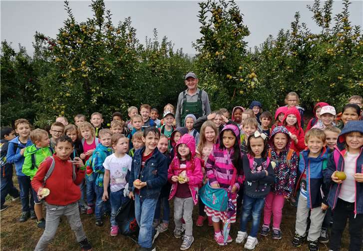 Die Kinder durften reichlich Äpfel pflücken. Privat