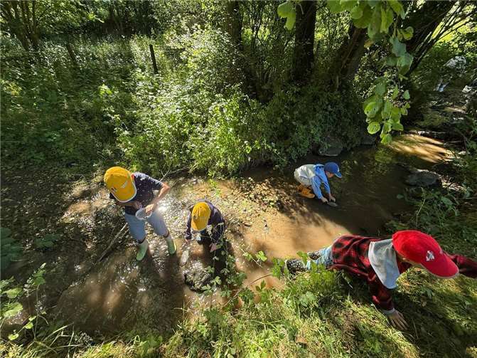 Die Kinder entdeckten faszinierende Kleinsttiere im Wasser.  Fotos: privat