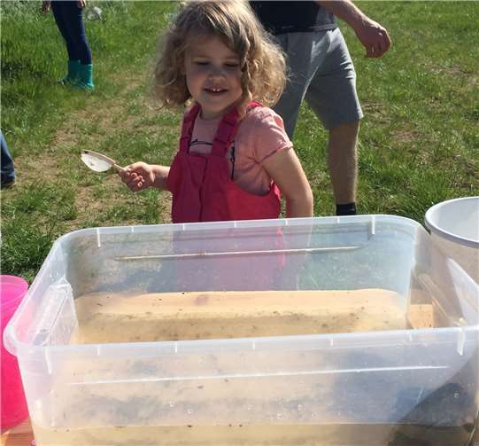 Die Kinder entdeckten viel Leben im Wasser.