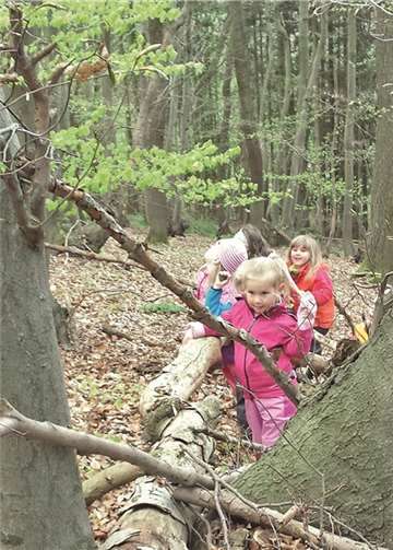 Die Kinder erforschen spielend den Wald.privat