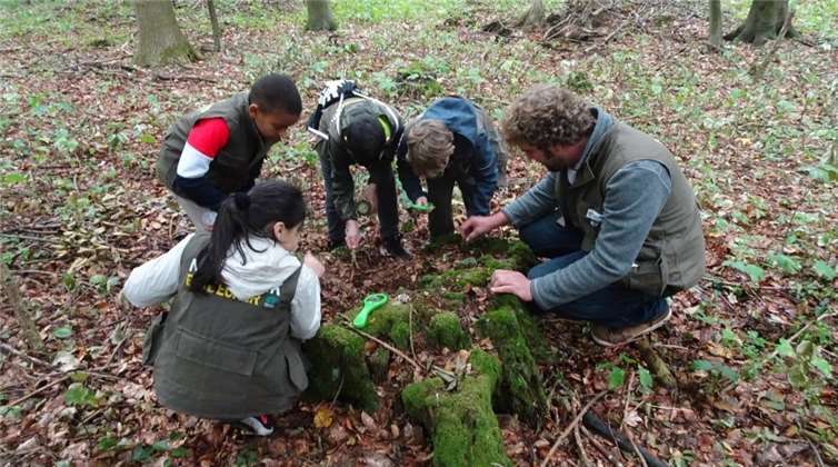 Die Kinder erforschten den Wald.Privat