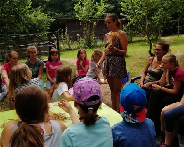 Die Kinder erfuhren auf der Ponyranch alles Wissenswerte über Pferde. privat