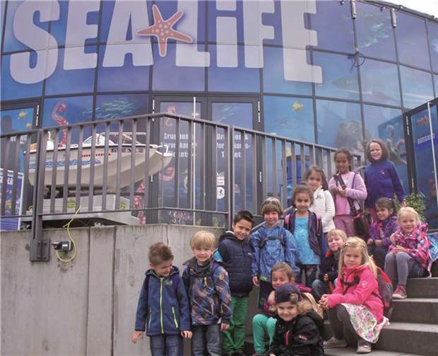 Die Kinder erhielten einen einmaligen Einblick in das Meeresleben.privat