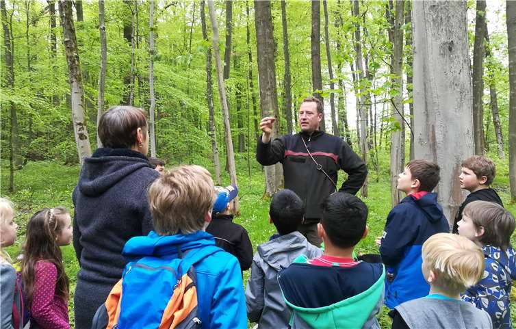 Die Kinder erkundeten gemeinsam mit Förster Johannes Biwer den Bendorfer Wald.Fotos: privat