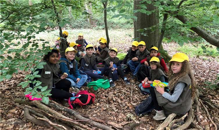 Die Kinder frühstücken auf einem „Waldsofa“.Fotos: privat