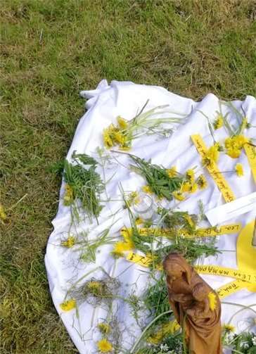 Die Kinder gestalteten mit selbst gesammelten Blumen und Sonnenstrahlen das Altärchen.