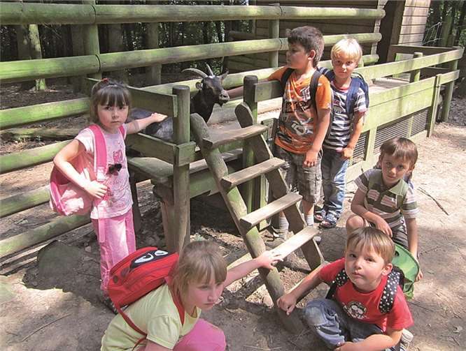 Die Kinder haben bei den Wildtieren viel Freude.Stadt Meckenheim