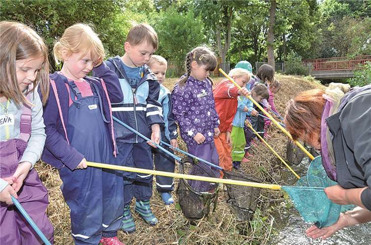 Die Kinder hatten viel Spaß daran, Tiere und Pflanzen aus dem Bach zu fischen. privat