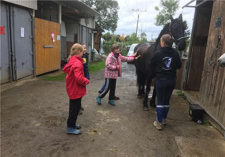 Die Kinder hatten viel Spaß im Umgang mit den Pferden. Fotos: privat