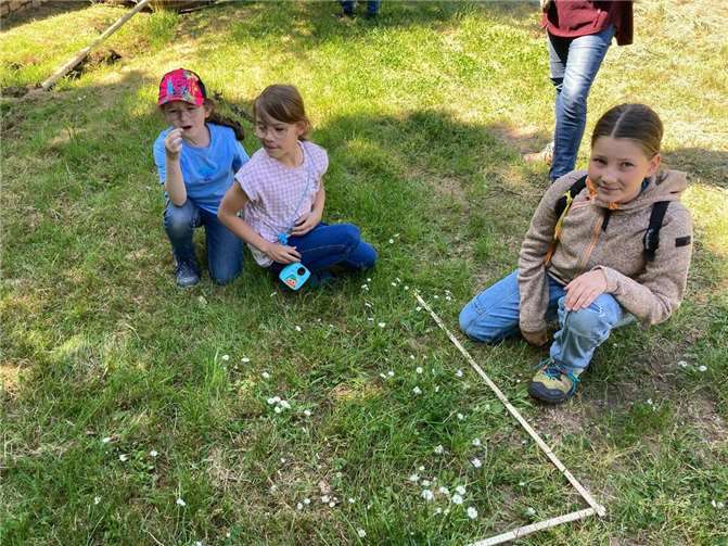 Die Kinder in den Moselweinbergen. Foto: Grundschule Dohr