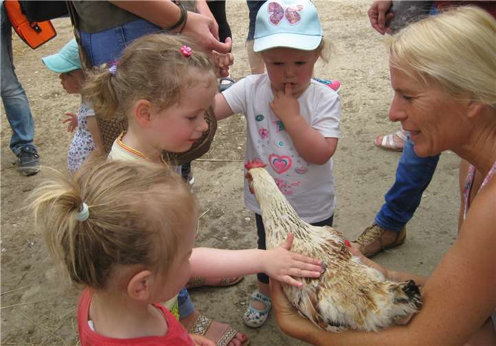 Die Kinder interessierten sich besonders für die freilaufenden Hühner. Foto: privat