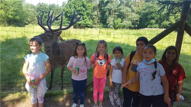 Die Kinder kamen in den Genuss, in die Waldau zu fahren, um dort bei schönem Wetter die Tiere in Augenschein zu nehmen. Foto: GGS Merl