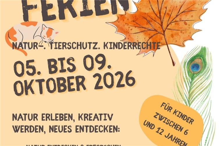 Die Kinder können sich ausprobieren, Neues lernen und die Natur mit allen Sinnen erleben.