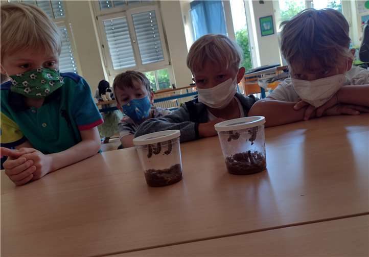 Die Kinder konnten die Entwicklung der Raupe beobachten.