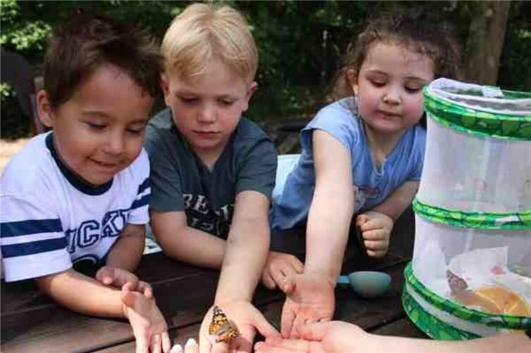 Die Kinder konnten die Entwicklung der Schmetterlinge hautnah miterleben.  Fotos: Dominika Hefczyc und Hilal Akkoyun