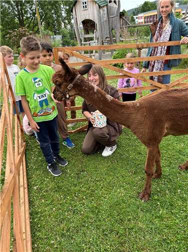 Die Kinder konnten die beiden Alpakas streicheln und füttern.  Fotos: Eva Dreiser / Stadtverwaltung Lahnstein