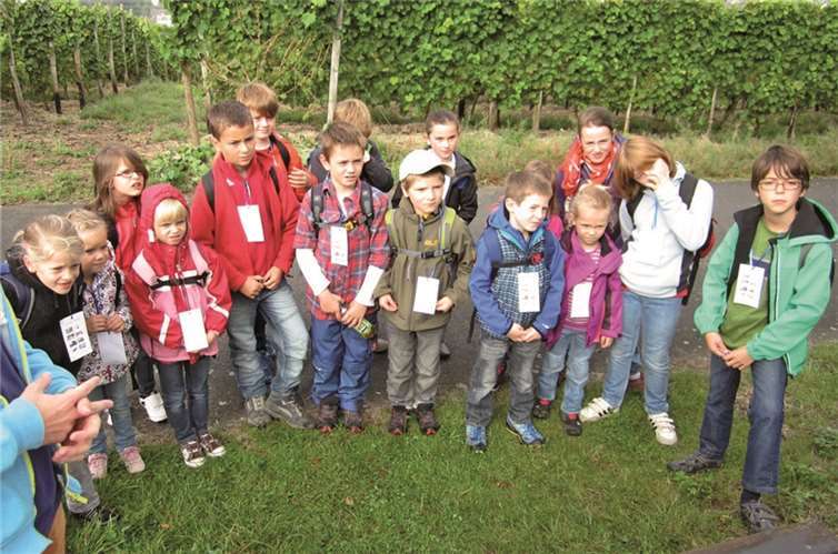 Die Kinder konnten sich von der Arbeit im Weinberg überzeugen. Privat