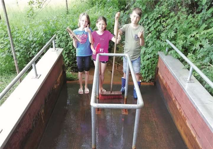 Die Kinder kümmerten sich um das Wassertretbecken. Foto: Ulla Bergob