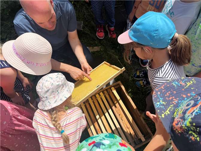 Die Kinder lernten, dass Bienen von Natur aus sehr freundliche Tiere seien, die der Natur und den Menschen Gutes tun. Deshalb sei es so wichtig, das Überleben der Bienen zu sichern.  Fotos: Stadtverwaltung Lahnstein