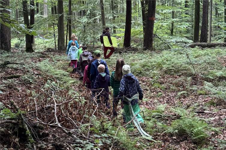 Die Kinder machen sich auf den Weg zur Wildtierkamera und sind gespannt, welche Tiere in der Nacht aufgezeichnet wurden. Foto: Victoria Mayer