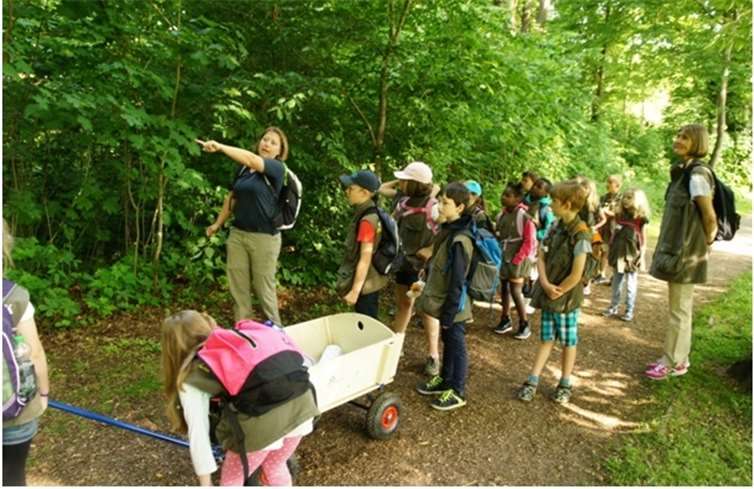 Die Kinder sammelten mit Feuereifer Blüten und verschiedene Insekten.
