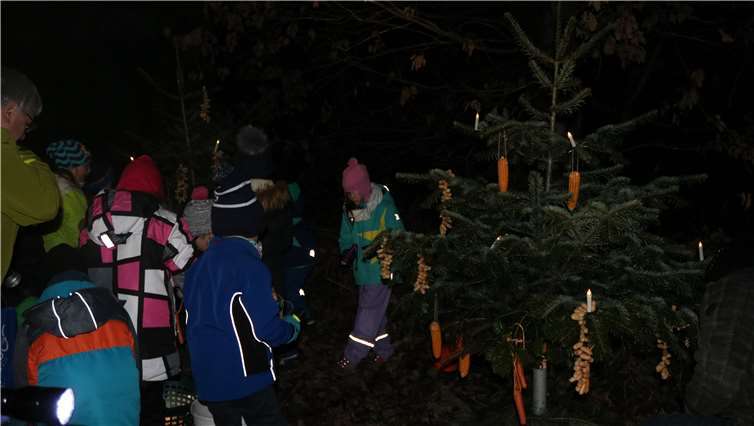 Die Kinder schmückten die Tannenbäumemit Futter für die Tiere des Waldes.