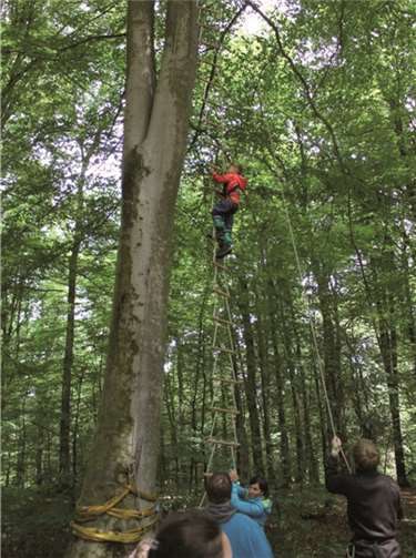 Die Kinder stellten sich den unterschiedlichsten Herausforderungen, hier das Erklimmen einer Strickleiter, welche im zehn Meter hohen Baumwipfel befestigt war, mit Bravour.privat