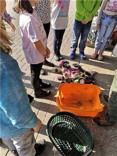 Die Kinder übernahmen spielerisch Verantwortung und lernten viel über den Umgang mit den Tieren.