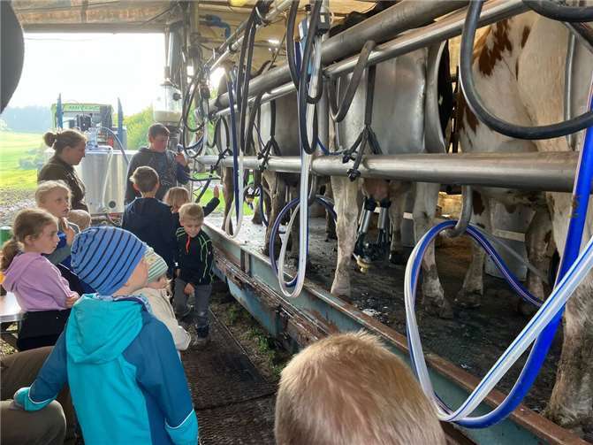 Die Kinder und ihre Eltern wanderten zu den Kühen der Familie Zipp.  Foto:privat