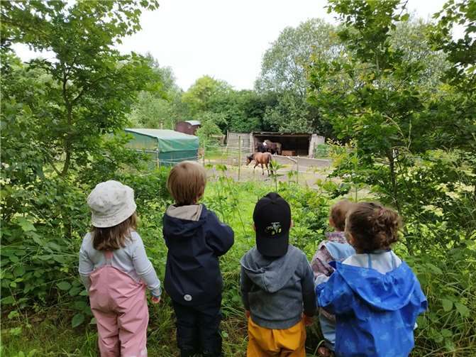 Die Kinder verbrachten spannende Tage im Wald. Foto: Vanessa Kreier