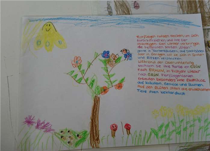 Die Kinder waren nicht nur handwerklich aktiv, sondern befassten sich auch mit Hintergründen zu Flora und Fauna.