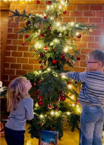 Die Kinder waren von der bezaubernden Edeltanne begeistert.privat